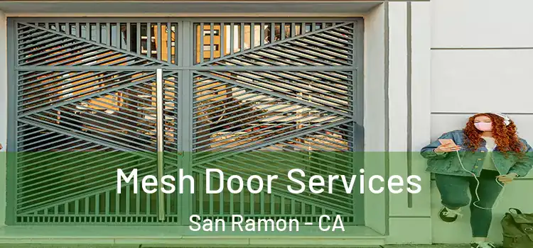Mesh Door Services San Ramon - CA